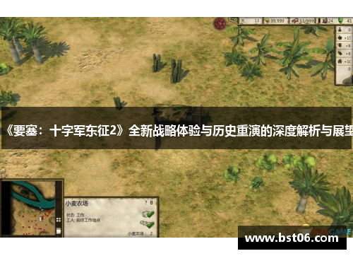 《要塞：十字军东征2》全新战略体验与历史重演的深度解析与展望