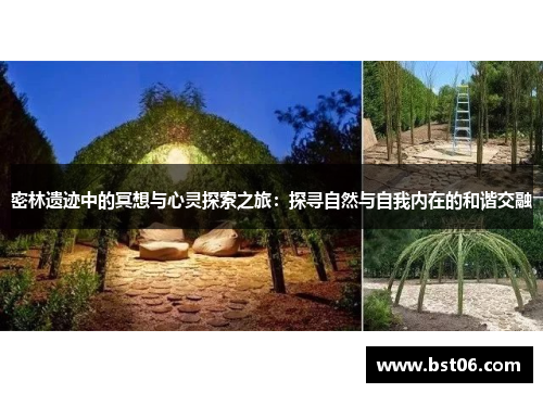 密林遗迹中的冥想与心灵探索之旅：探寻自然与自我内在的和谐交融